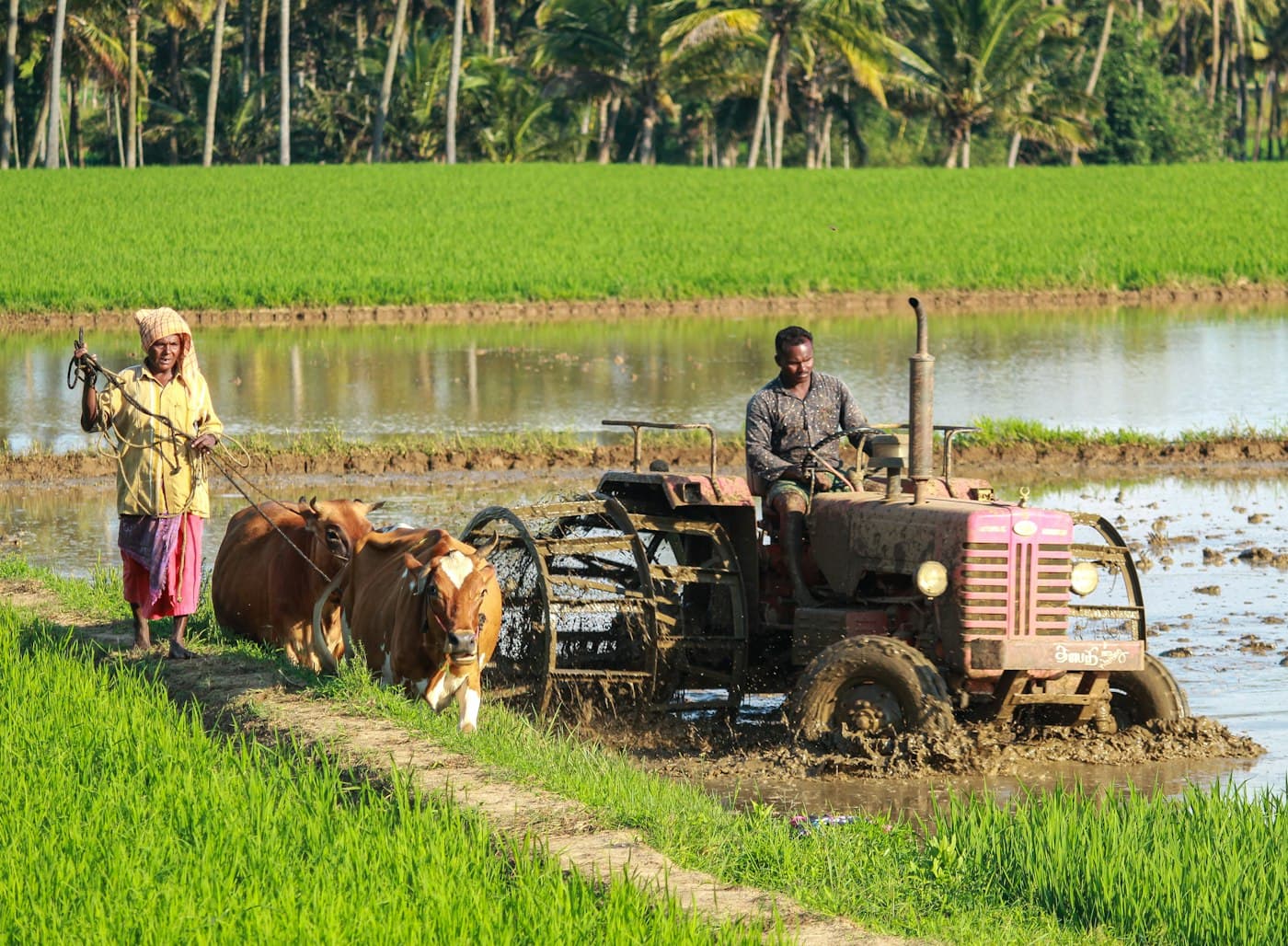 Agriculture — Agricultural autonomy, sensing or facility automation